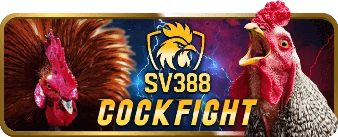 Cá nhân hóa quảng cáo Zbet Game