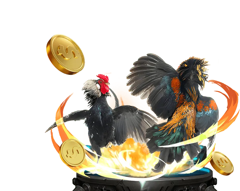 Cập nhật nền tảng zbet game