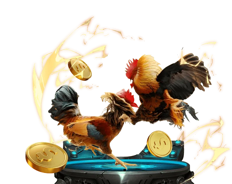 Tin tức sự kiện thể thao zbet game